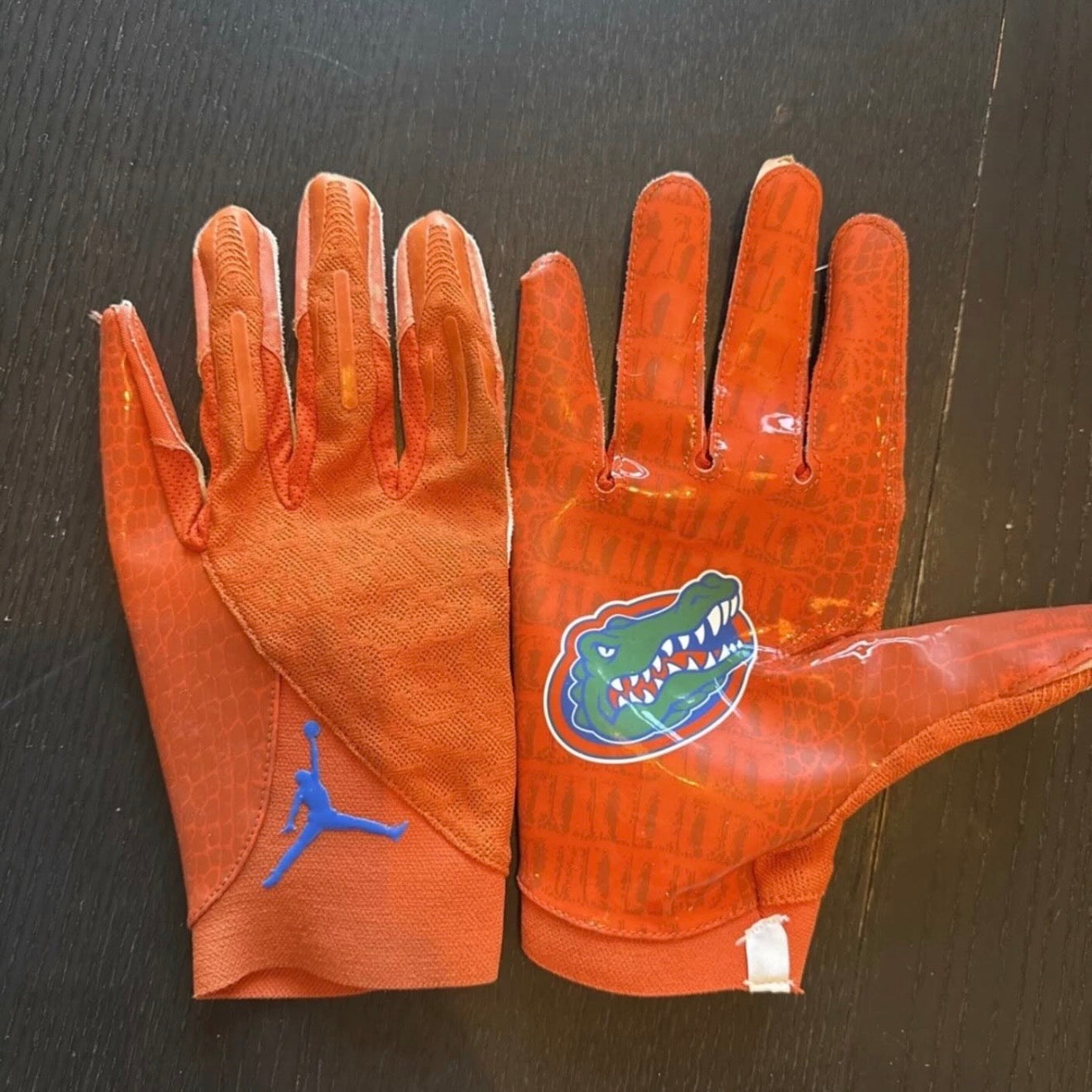 Florida gators gloves